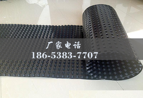 排水板廠(chǎng)家http://m.kaishunjituan.com/