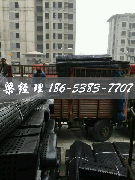 排水板廠(chǎng)家http://m.kaishunjituan.com/